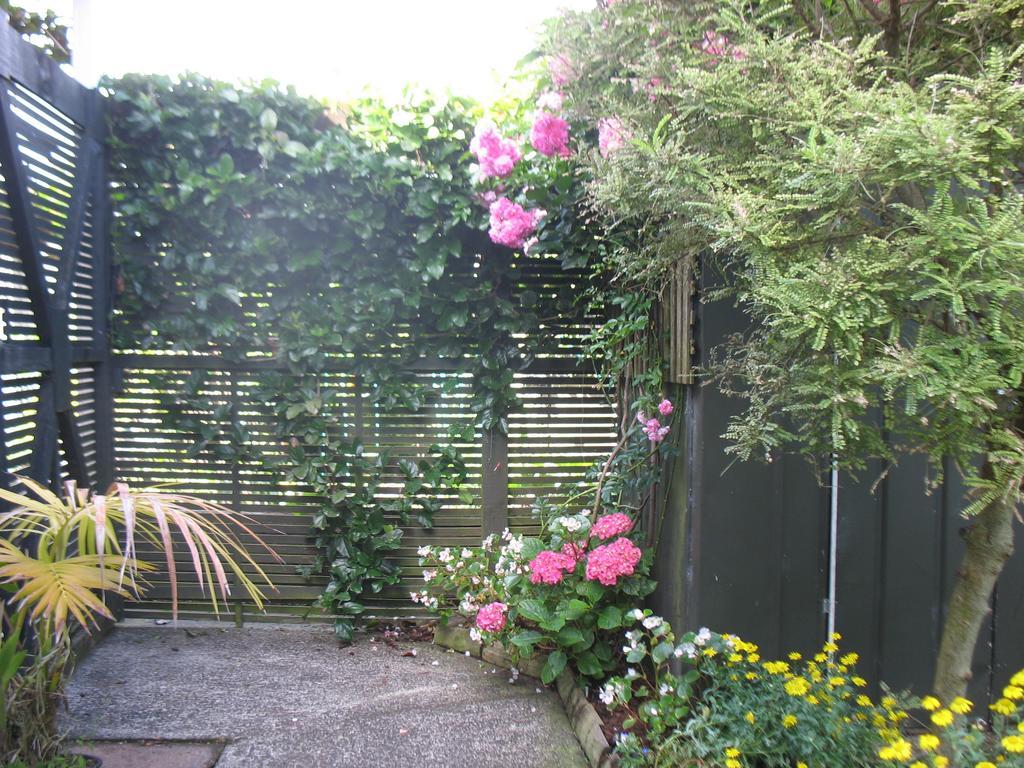 Rosalie On Albert B&B Whitianga Exterior foto